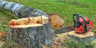 Best Emergency Tree Removal  in Bethel, AK