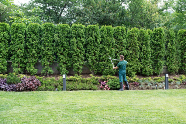 Artificial Turf Installation in Bethel, AK